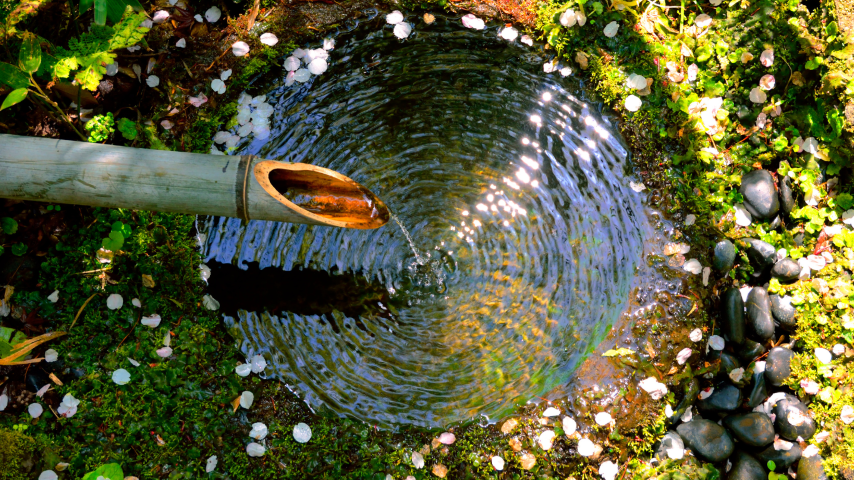 curage canalisation eaux usées à Saint-Chamas